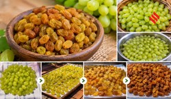 घर पर किशमिश बनाने के 2 आसान तरीके, जानें 1 किलो के लिए कितना अंगूर लगेगा