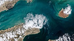 ईरान ने होर्मुज के पास तेल टैंकर्स पर की फायरिंग, वापस लौटे भारतीय जहाज