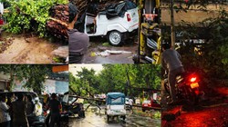 कानपुर में आंधी-बारिश का तांडव: सैकड़ों पेड़ गिरने से चक्का जाम, बिजली-पानी को तरसी जनता, 4 की मौत