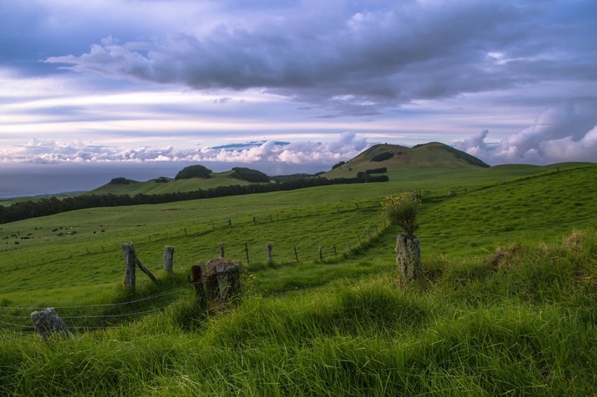 kohala volcano hawaii
