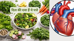 LDL कोलेस्ट्रॉल को कम करने में मददगार साबित हो सकते हैं ये 5 तरह के सलाद के पत्ते, हृदय रोग विशेषज्ञ से जानिए इनके फायदे