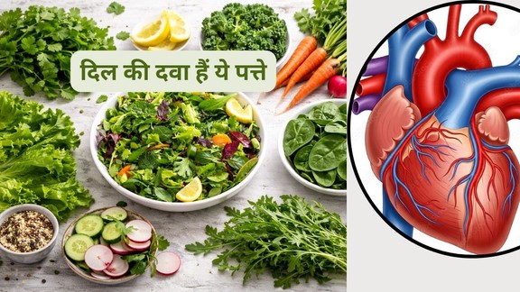 Cholesterol lowering leaves in Hindi, कोलेस्ट्रॉल कम करने वाले पत्ते,Cholesterol lowering leaves,Natural ways to reduce LDL cholesterol,Heart healthy leaves in Hindi,