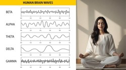 Brain Health: मेडिटेशन का दिमाग पर कैसा होता है असर? रिसर्च में सामने आए चौंकाने वाले परिणाम, जानें क्या कहती है हालिया रिसर्च
