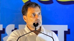 ‘भाजपा और आरएसएस ने…’, इलाहाबाद HC ने राहुल गांधी के खिलाफ FIR दर्ज करने की याचिका खारिज