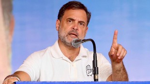 Nitish Kumar,Rahul Gandhi,Bihar politics,NDA government,