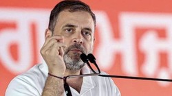 CIC राज कुमार गोयल के नाम पर राहुल गांधी ने जताई थी असहमति, सुझाए थे ये तीन नाम; RTI से हुआ खुलासा