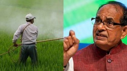Exclusive: कृषि मंत्री शिवराज की विधानसभा में फेल हुए IFFCO की खाद के सैंपल, बिक्री पर तुरंत रोक
