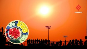 डिहाइड्रेशन और लू से बचना है तो खाएं ये 7 कूलिंग फूड्स, शरीर को अंदर से रखेंगे ठंडा