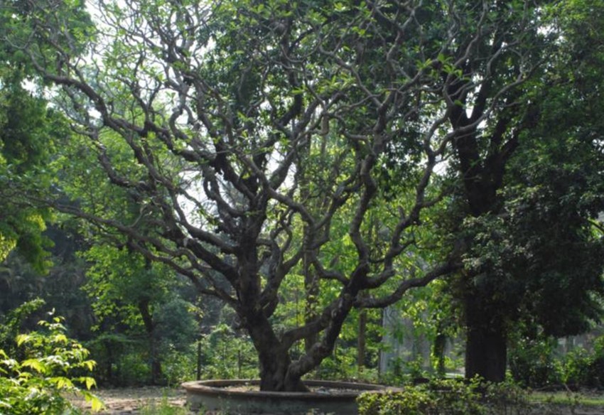 Alipore Zoo Kolkata
