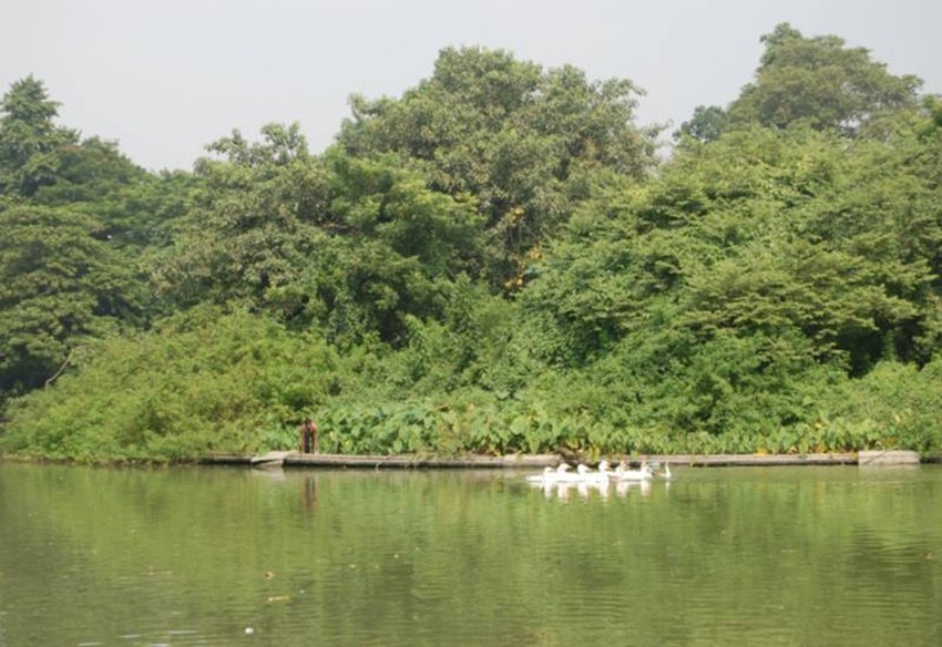 Alipore Zoological Garden