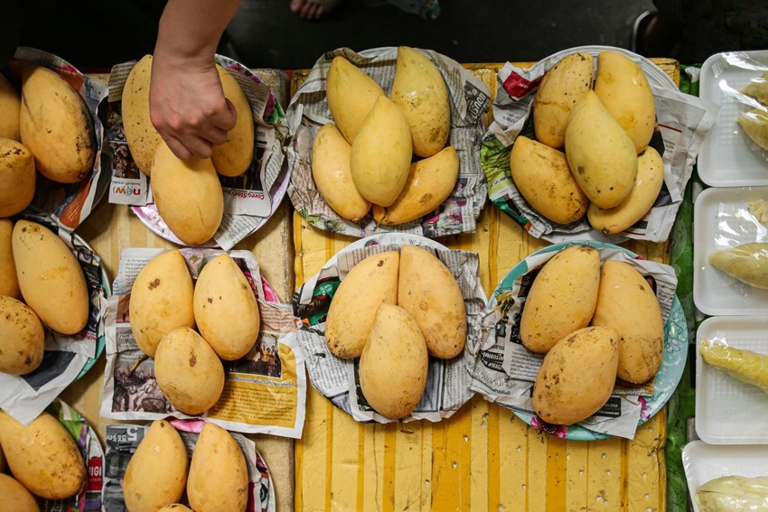 Alphonso mango ban