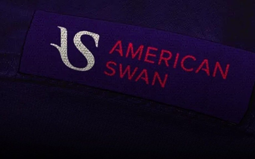 American Swan