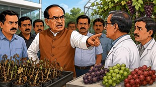 shivraj Singh chouhan, Grapes Centre, agriculture minister