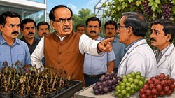 अंगूर अनुसंधान केंद्र के अधिकारियों से क्यों नाराज हुए शिवराज चौहान? मांगा स्पष्टीकरण