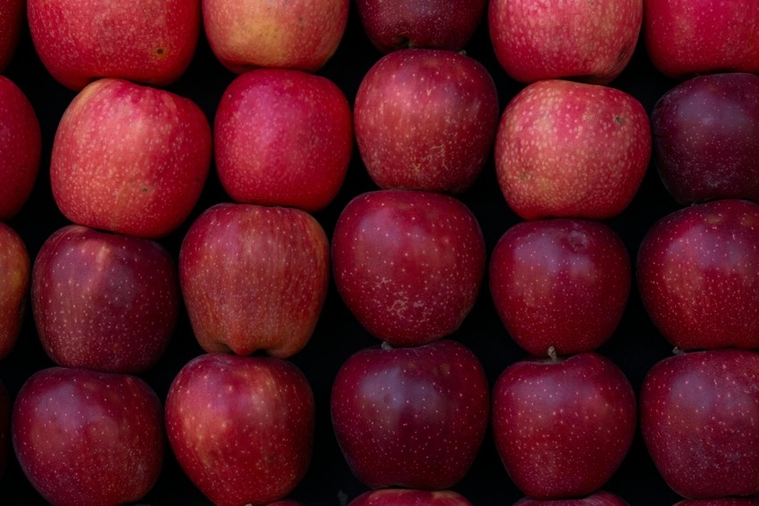 Apples around the world
