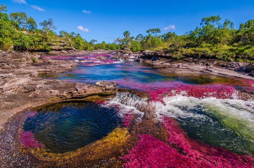 Caño Cristales, Colombia