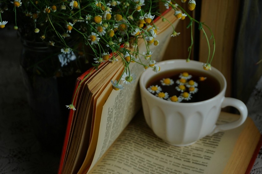 Chamomile Tea