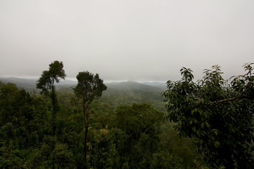 Coorg