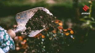 Countries Supplying Fertilizers to India Amid Global Uncertainty