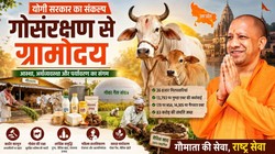 OPINION: गोसंरक्षण से ग्रामोदय की राह