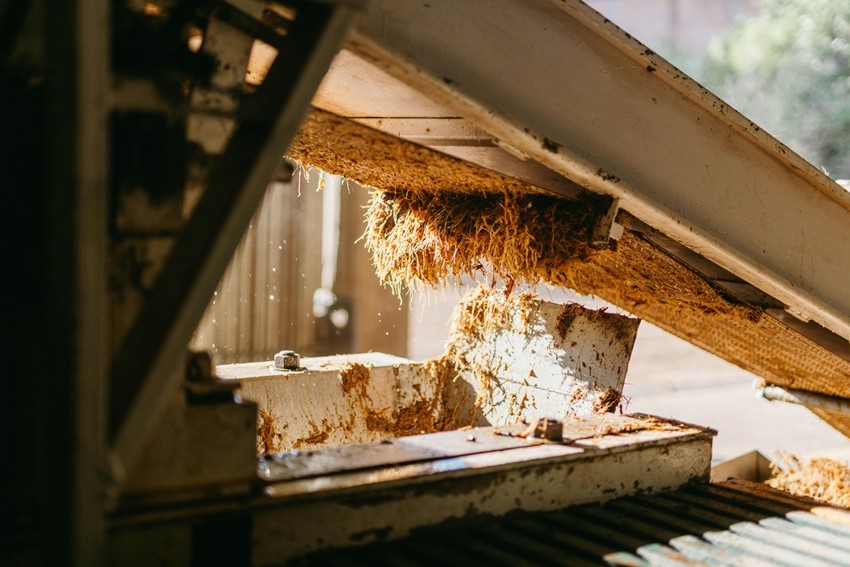 DIY Natural Fertilizer