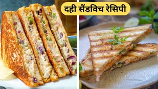 how to make Yogurt Veg Sandwich | dahi ke sandwich kaise bante hain | curd-sandwich-recipes-for-breakfast