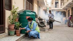Delhi Records Highest April Dengue Cases in 5 Years MCD Intensifies Inspection
