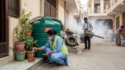 दिल्ली में डेंगू का कहर, 5 साल में अप्रैल माह में सबसे ज्यादा मामले, MCD ने अभियान किया तेज