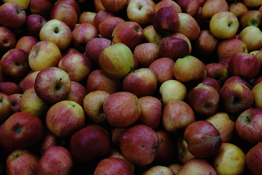 Different types of apples