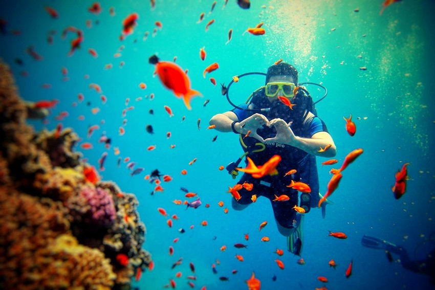 Diving