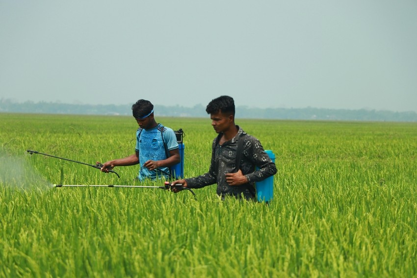 Fertilizer Supply