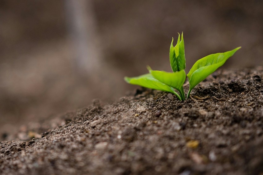 Fertilizer imports India