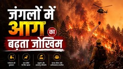 जंगलों की आग: प्रकृति, पर्यावरण और भविष्य पर बढ़ता संकट । OPINION