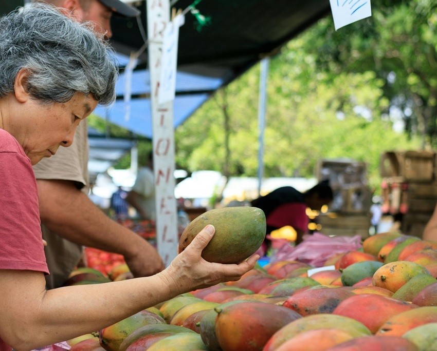 Fruit fly infestation concerns