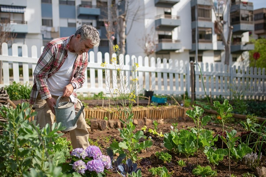 Gardening