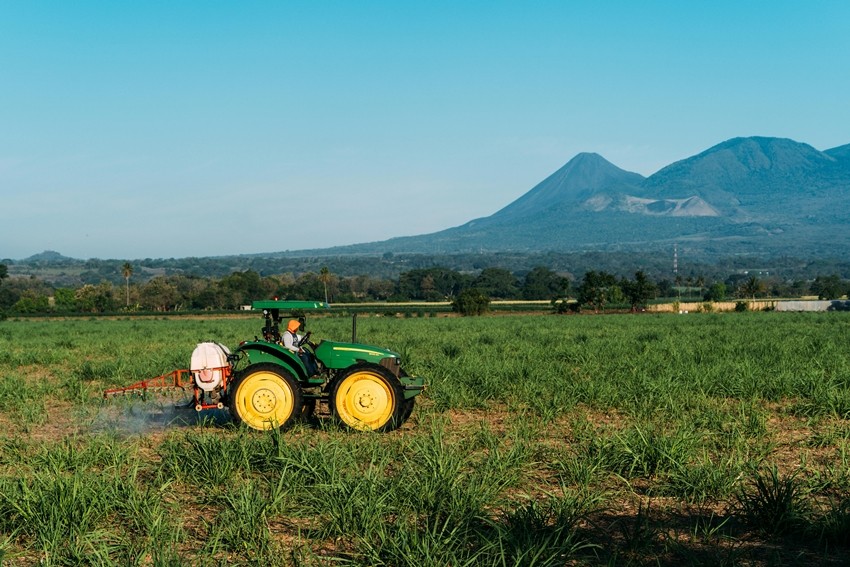 Government Assures Continued Subsidy on Urea and DAP