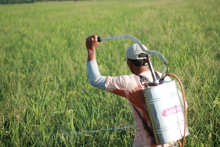 Government fertilizer preparedness