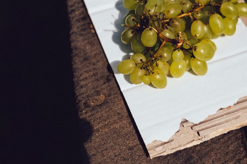 Grapes