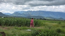 हरियाणा से तंजानिया: सरकार की मदद से अब विदेश में खेती कर मुनाफा कमा रहे किसान