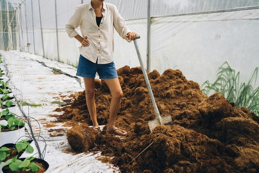 Homemade Organic Manure
