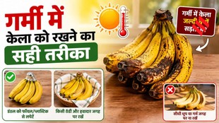 How to Keep Bananas Fresh Longer