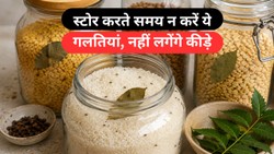 गर्मी और उमस में जल्दी खराब हो रहा है राशन, तेजपत्ता से लेकर नीम तक; कीड़ों से बचाने के ये घरेलू उपाय जानिए