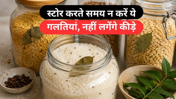 dal aur rashan m kide lagne se kaise bachaye | How to protect food items at home
