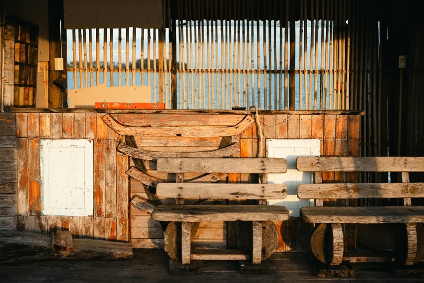How to protect furniture from termites