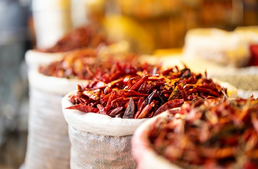 India chilli export