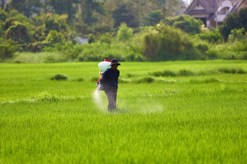 India fertilizer stock