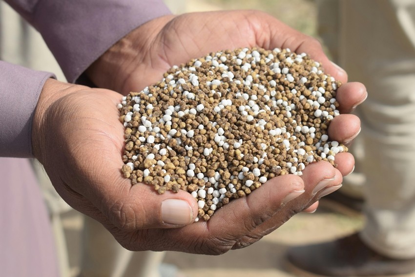 India fertilizer supply