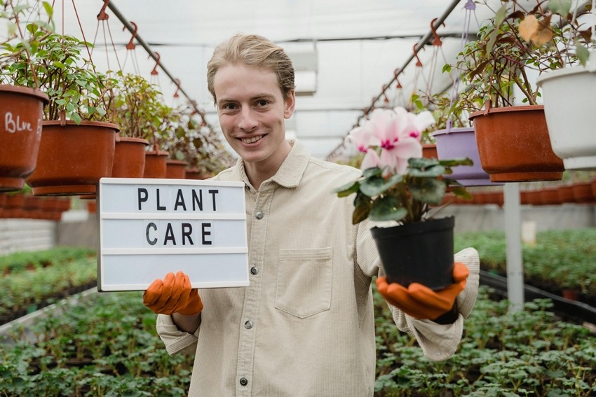 International Day of Plant Health 2026