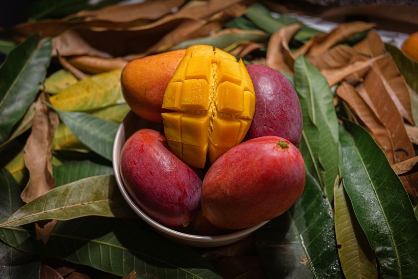 Japan Once Again Bans Indian Mango Imports
