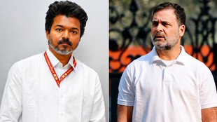 Joseph Vijay | Rahul Gandhi | tamil nadu politics | tvk congress alliance